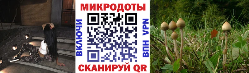 блэк спрут сайт  наркотики  Игарка  Галлюциногенные грибы Cubensis 